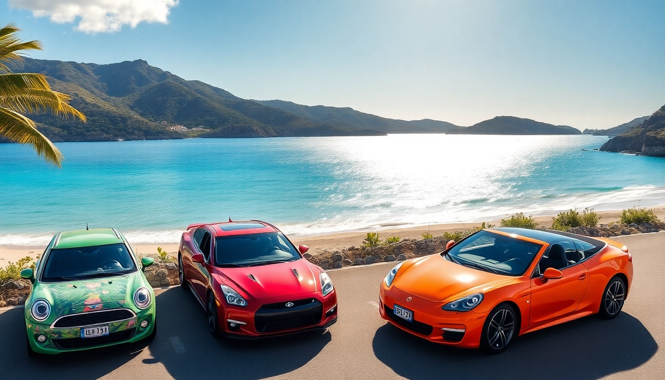 Find the best car rental st barts options with colorful tropical vehicles.